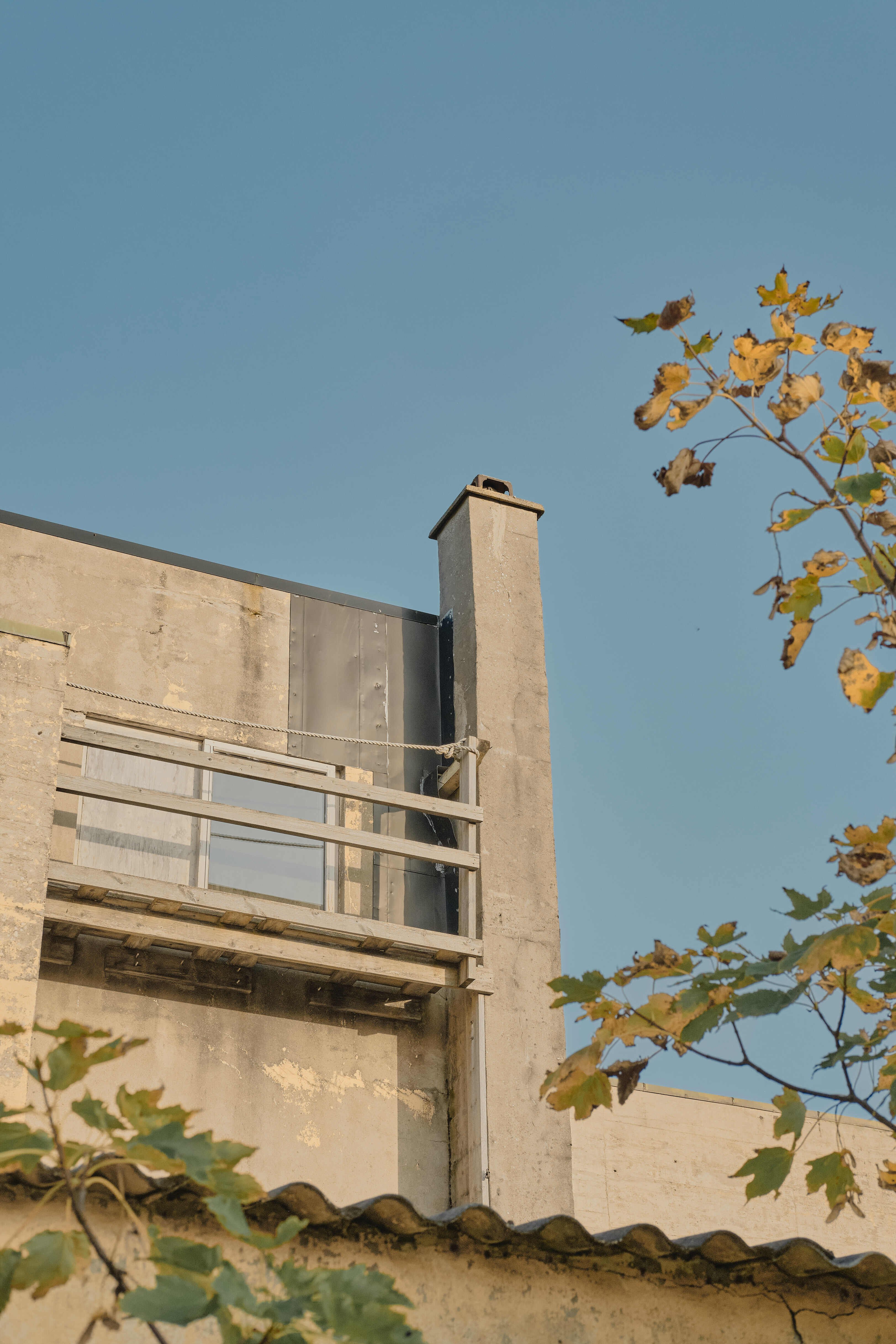 DSCF7108_vincentfoto_vibrandsoy_22.9.24 (1)