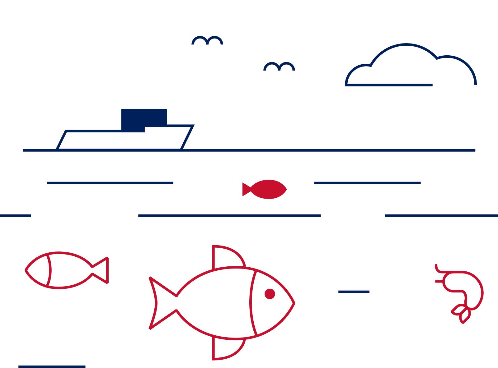 large-Seafood Illustration on white background wBG-Brand Norway